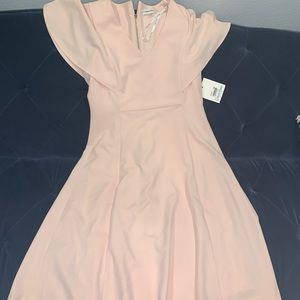 Calvin Klein Women dress